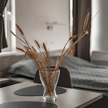 July's Gasthuis Primorsko