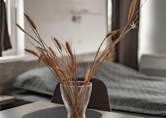 July's Gasthof Primorsko